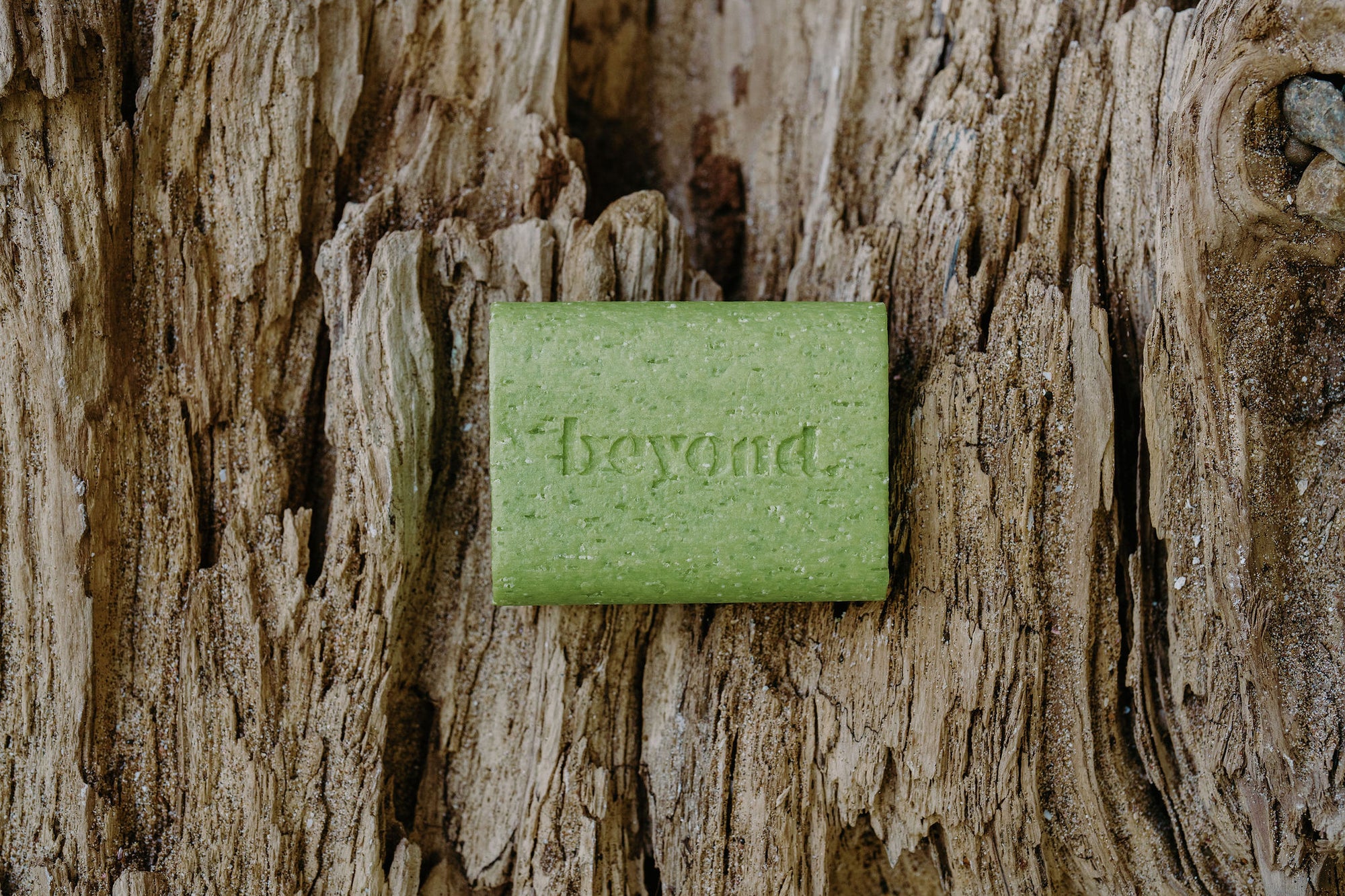 lime shampoo bars